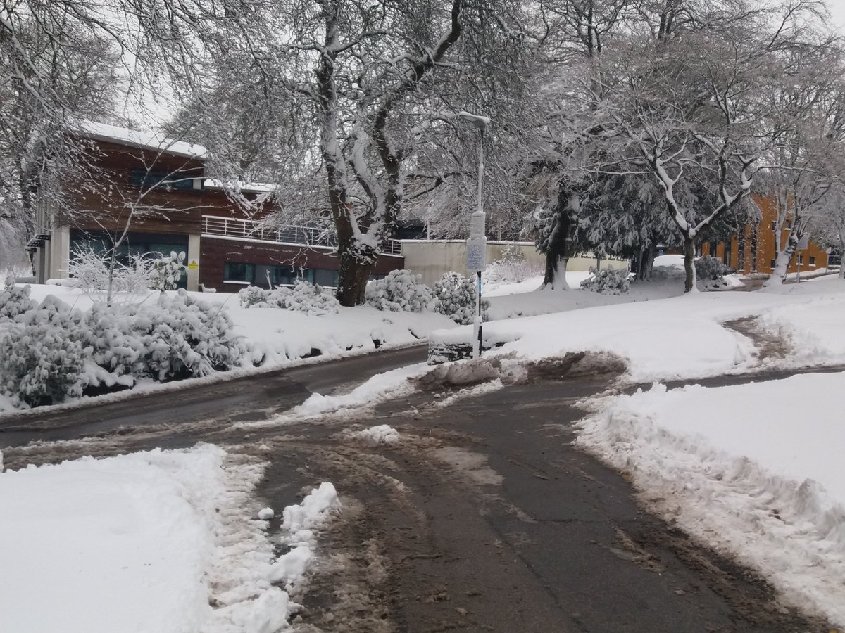 BTHFT's tweet photo. Let's give a big πto our intrepid @BTHFT_EFandCE grounds colleagues who have been clearing snow since early morning - making it safe for patients and staff on our hospital sites. Thank you, and everyone else @BTHFT who is keeping our services running. @Mel_Pickup @1johnholden https://t.co/Nyk3ht17Zf