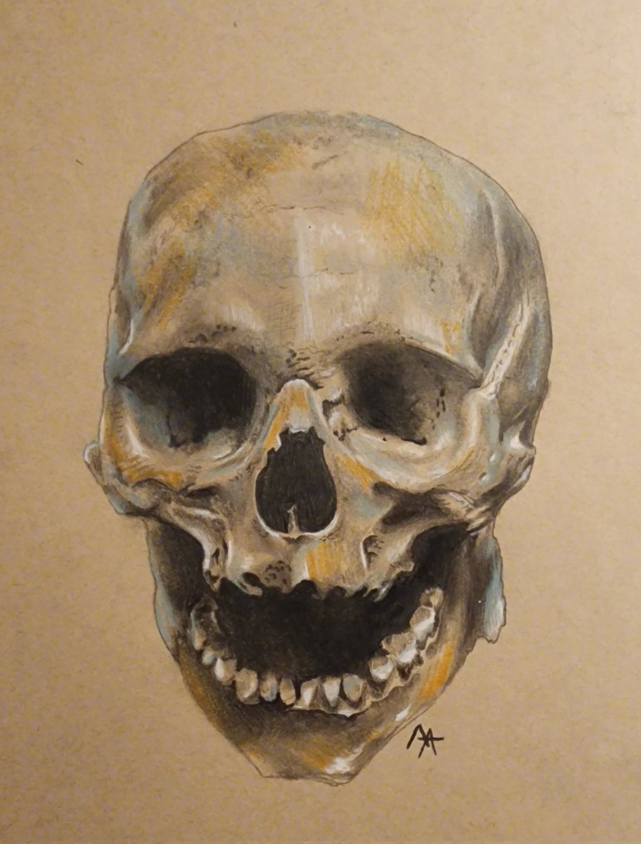 After a stressful week of midterms, I  finally got to finish my skull! I added blue and yellow hues to it. #art #sketchbook #イラスト