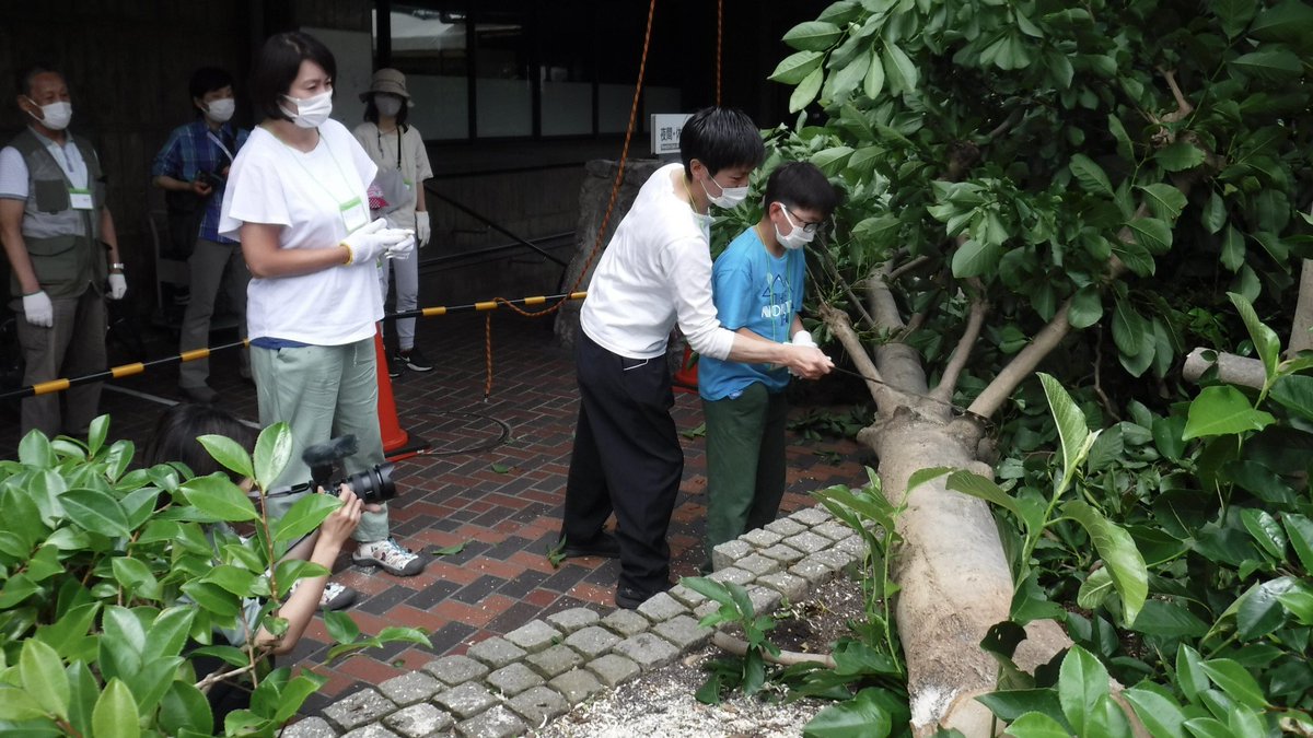 setagaya_eizen's tweet photo. 世田谷区本庁舎等整備では、伐採・処分予定の樹木を活用した取り組みを進めています。これまでに実施した「庁舎の木を活かすワークショップ（令和４年度）」のレポートを発行しました。
＃世田谷　#世田谷区本庁舎等整備
https://t.co/ncxze9FNEf https://t.co/fpXd0ivGnp