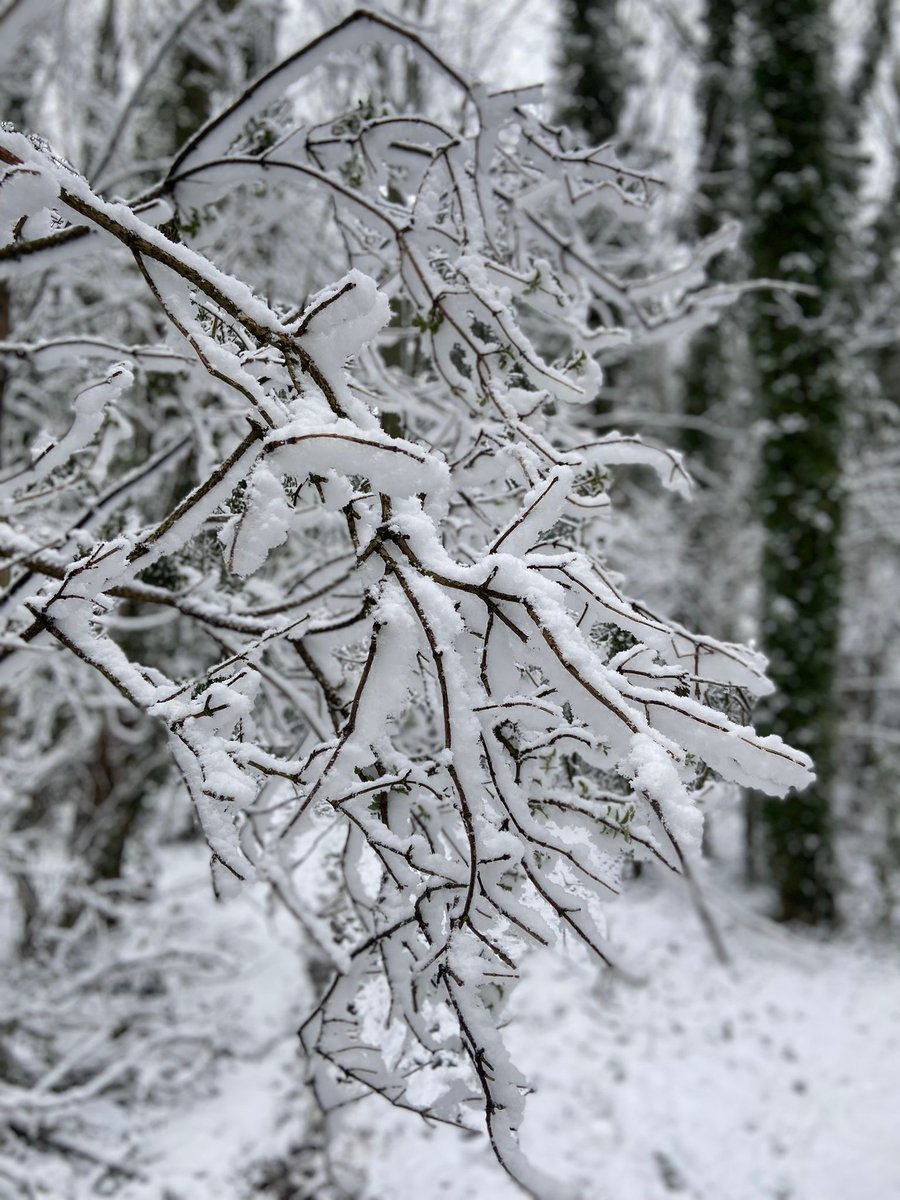 CyclingUK_Yorks's tweet photo. It's snow joke out and about this morning! It's a slippery slope we're heading down with these puns, but I feel I've reached the point of snow return, okay we'll stop now as I don't snow if our audience will appreciate it. 
Be careful outside today and do share any snowy pictures https://t.co/6fRwJHmknD