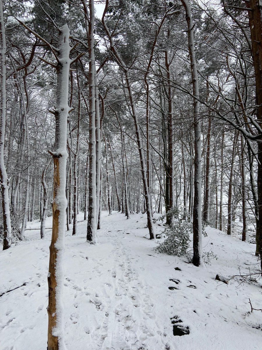 CyclingUK_Yorks's tweet photo. It's snow joke out and about this morning! It's a slippery slope we're heading down with these puns, but I feel I've reached the point of snow return, okay we'll stop now as I don't snow if our audience will appreciate it. 
Be careful outside today and do share any snowy pictures https://t.co/6fRwJHmknD