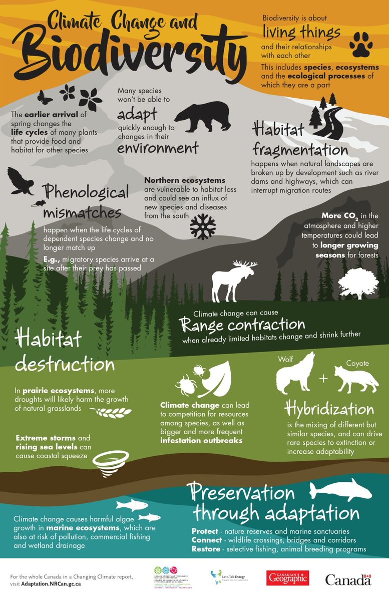 If we don’t win the battle against #Biodiversity loss, we won’t successfully tackle #ClimateChange.🌎

Learn more about interlinkages between climate change &amp; biodiversity with this infographic by @ingeniumca 📷

Or w/ @ipbes &amp; @ipcc_ch workshop report⬇️
ipbes.net/events/ipbes-i…