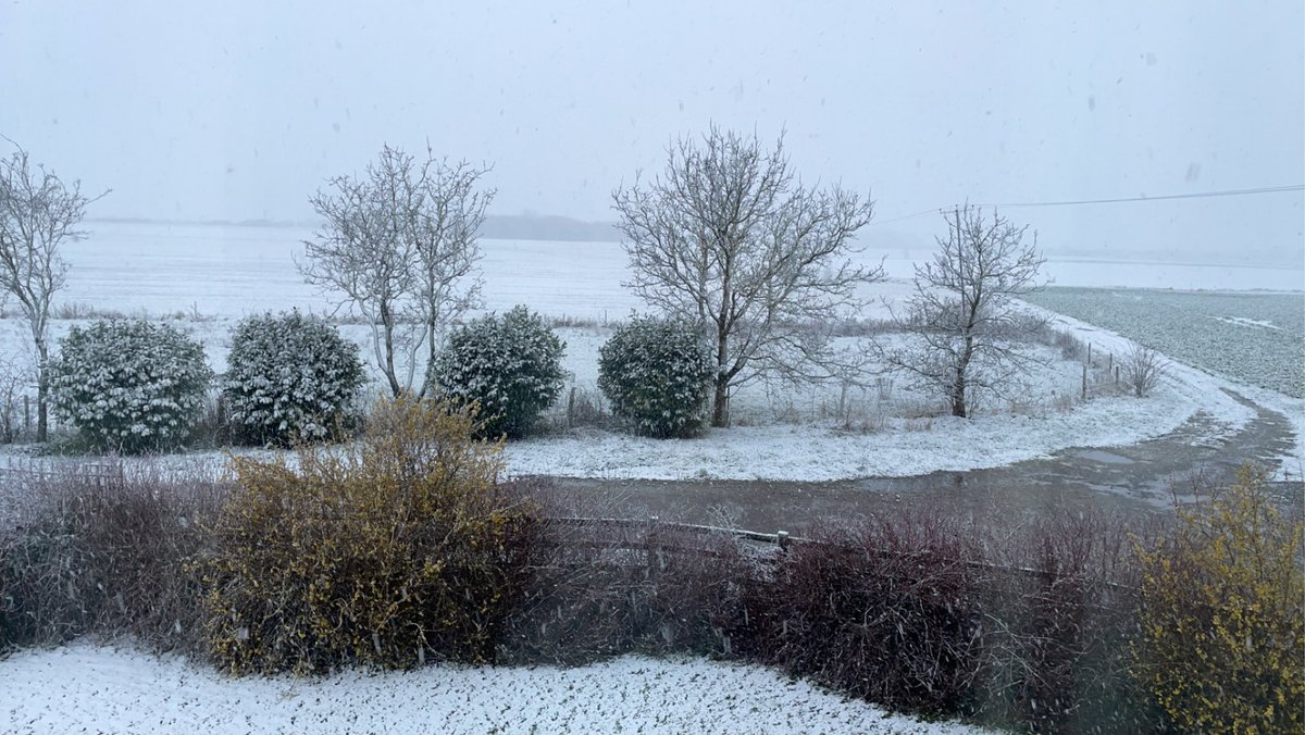 Eleanor Durdy tweet media