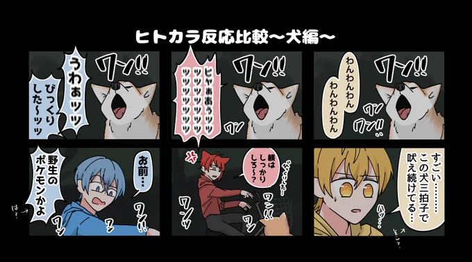 💙❤️💛のひとりカラオケ
(犬が吠え出したとき) 