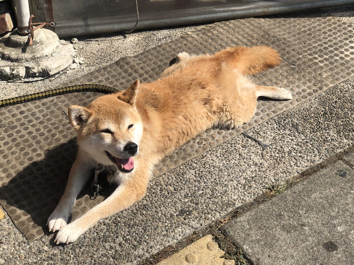 今天太陽好溫暖😌 https://t.co/t2kcckEihM