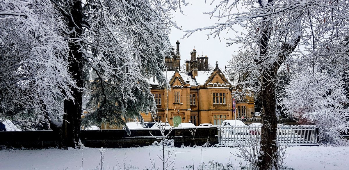 Obligatory snow shots from #ArrowePark ☃️