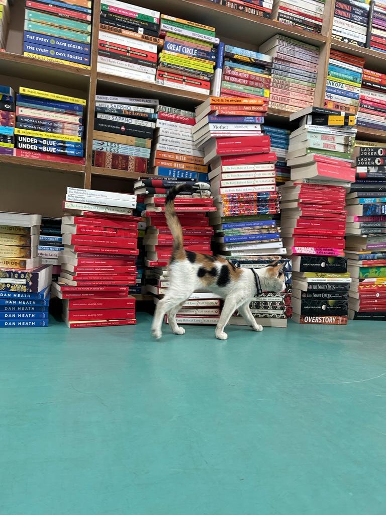 Bookworm Bookstore, Blr on Twitter "Bookworm has Candyland."