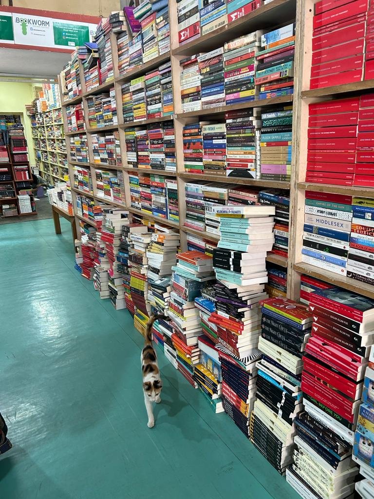 Bookworm Bookstore, Blr on Twitter "Bookworm has Candyland."