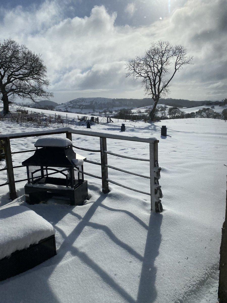 HallPlas's tweet photo. Winter Wonderland March 2023! Shout if you need us guests and take care 🌨️🥰 #wyna #lambing2023 https://t.co/cxyje7gAVr