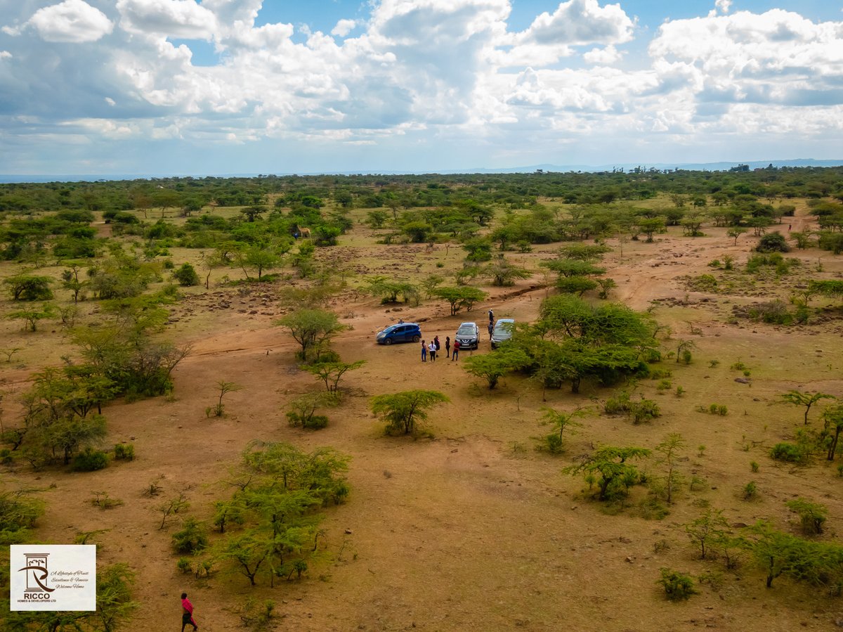 RiccoHomes's tweet photo. #landforsale💰 with grafted avocado seedlings in RUMURUTI 

Ideal for farming with Water source next to it
KES 399,000 per acre inclusive ;

 ✔️Drip irrigation system 
 ✔️120 well hardened grafted hass avocado 🥑
 ✔️Ready export ✈️ market
#riccohomes
#plots
#farmingland https://t.co/qVc3XoOF8w