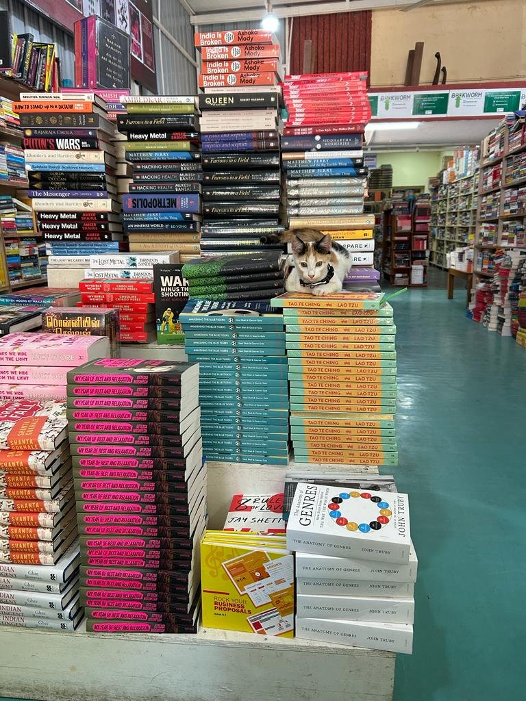Bookworm Bookstore, Blr on Twitter "Bookworm has Candyland."