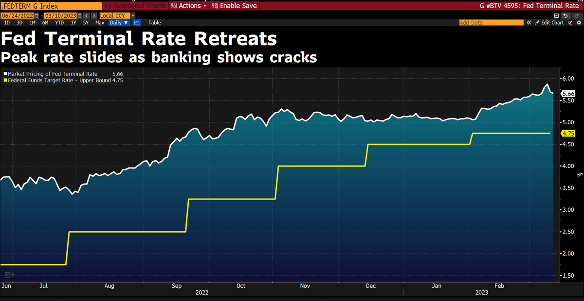 Daniel Curtis tweet media