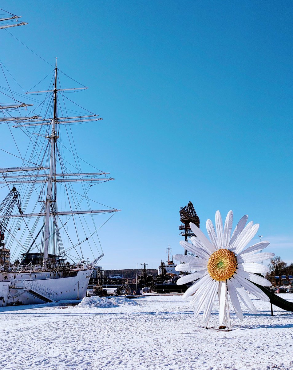 Sami Lehto tweet media