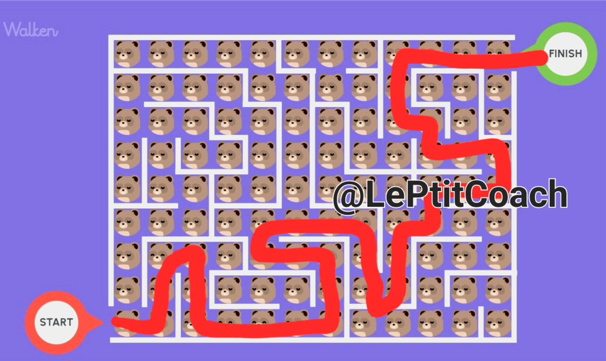 LePtitCoachDeToulon tweet media