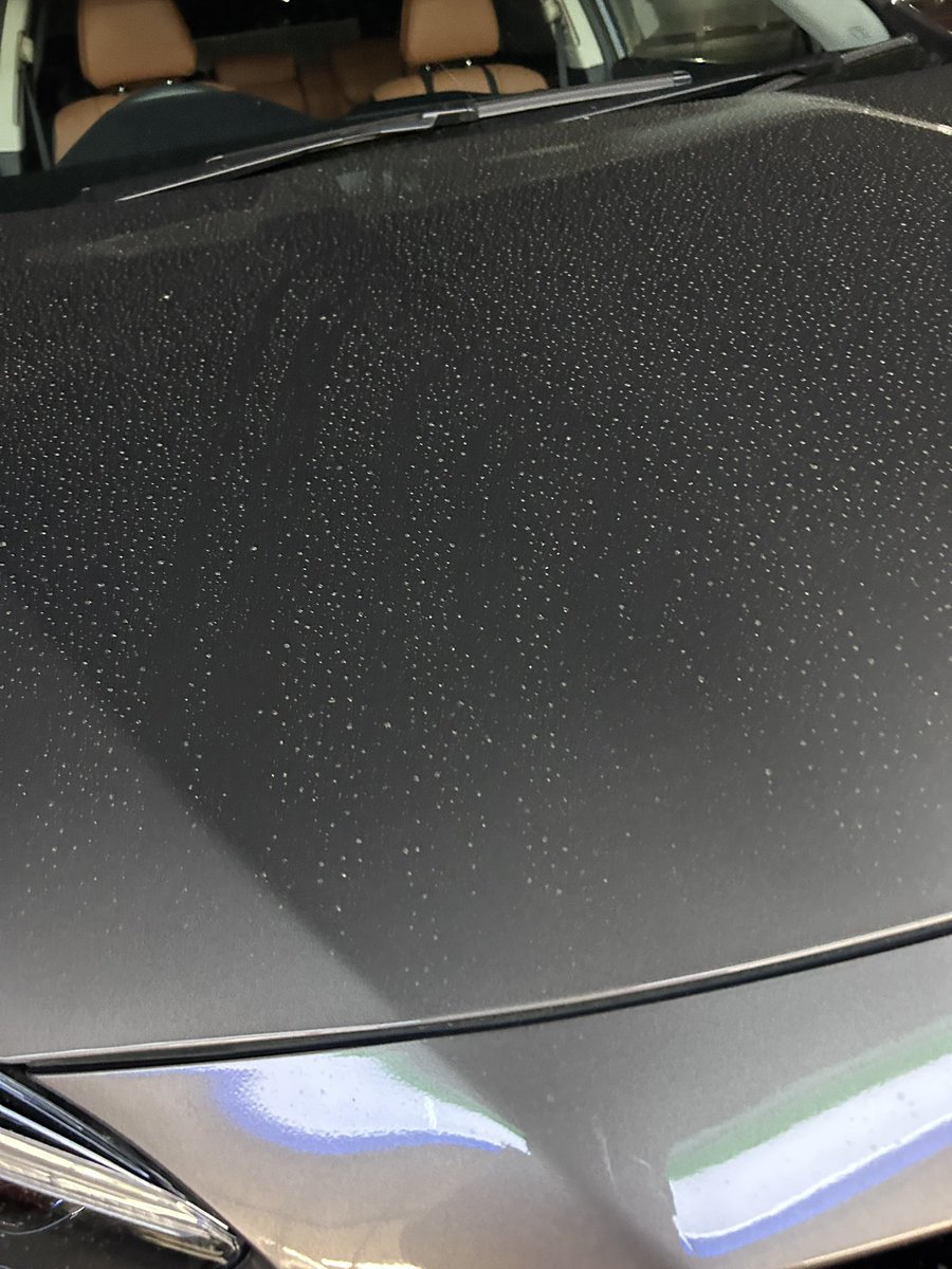 sat_yan_yan's tweet photo. 花粉で汚くなってしまった愛車😂 https://t.co/oQZxzw04W1
