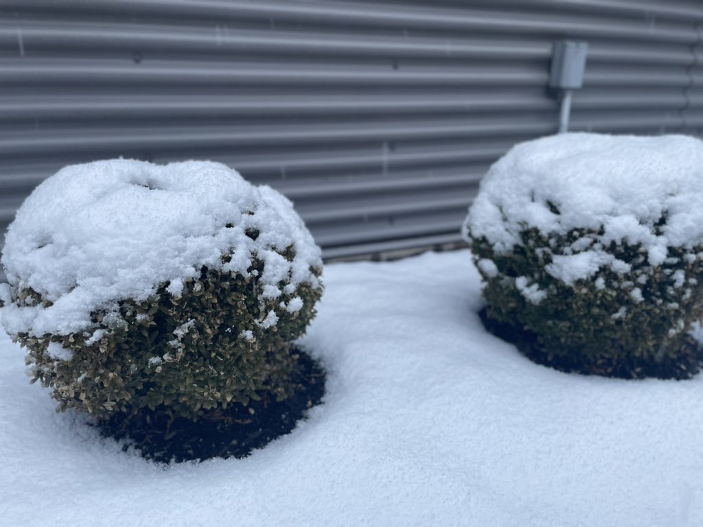 TonyBettonJrTV's tweet image. Outside of our @ABC21WPTA news station this morning! #FirstAlertWX 🌨️