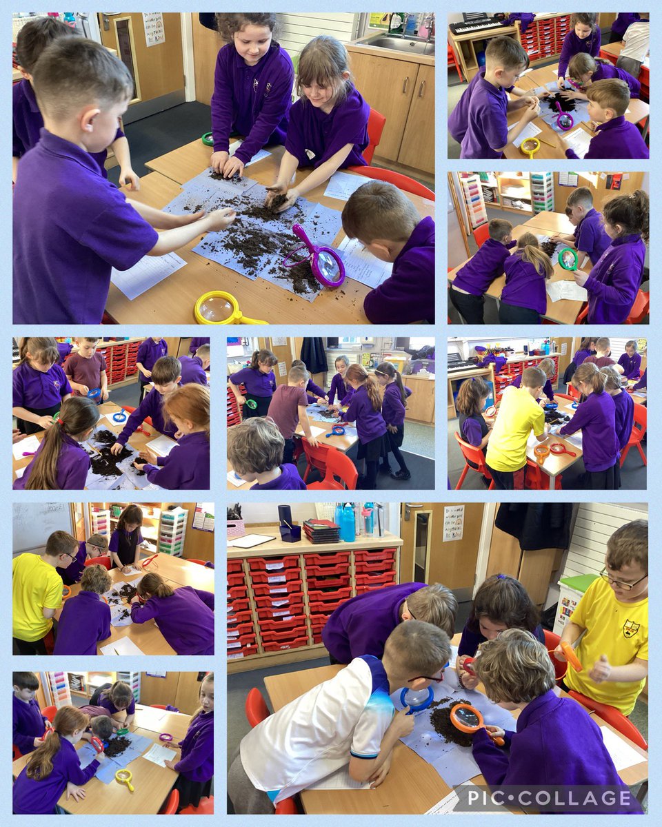 Miss Wren (@cwrswjs) on Twitter photo On Monday, Year 3 were exploring the properties of different types of soil and, let’s just say, they were more than excited when they discovered the creepy crawlies living in it.
<a href="/swalneyj/">South Walney Juniors</a> On Monday, Year 3 were exploring the properties of different types of soil and, let’s just say, they were more than excited when they discovered the creepy crawlies living in it.
<a href="/swalneyj/">South Walney Juniors</a>
