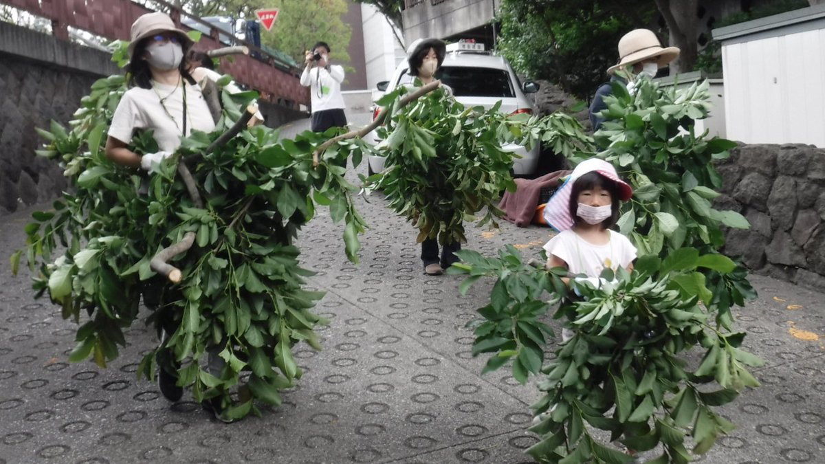 setagaya_eizen's tweet photo. 世田谷区本庁舎等整備における伐採・処分予定の樹木を活用した取り組みについて、今年度の活動���動画にまとめました。ぜひご覧ください！＃世田谷　#世田谷区本庁舎等整備
https://t.co/6HRAbeYmK7 https://t.co/BaHJGAKfMB