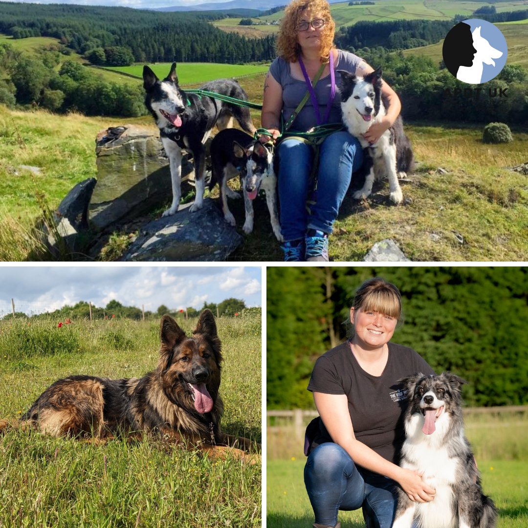apdt_uk's tweet image. Happy Working and Pastoral Day! Learn more about positive dog training with our recent webinar from Martina Miradoli on the brilliant Border Collie brain. Sign up here: apdt.co.uk/webinars/ #WorkingAndPastoralDay #Crufts2023 #PositiveDogTraining