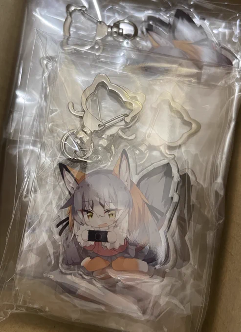 シマハイイロギツネのキーホルダー届いた 