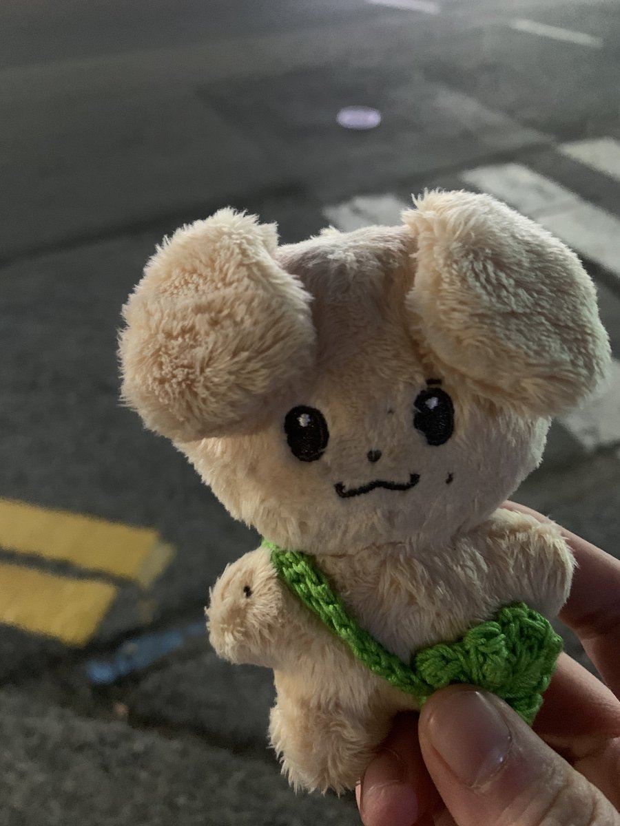 #오늘의_긍랑잉
🐶긍랑잉曰
:벌써 주인과 6개월째•••
오늘 나랑 똑같이 생긴아이가
한마리 더온다던데•••• 
친구 생겨서 기대된다😚