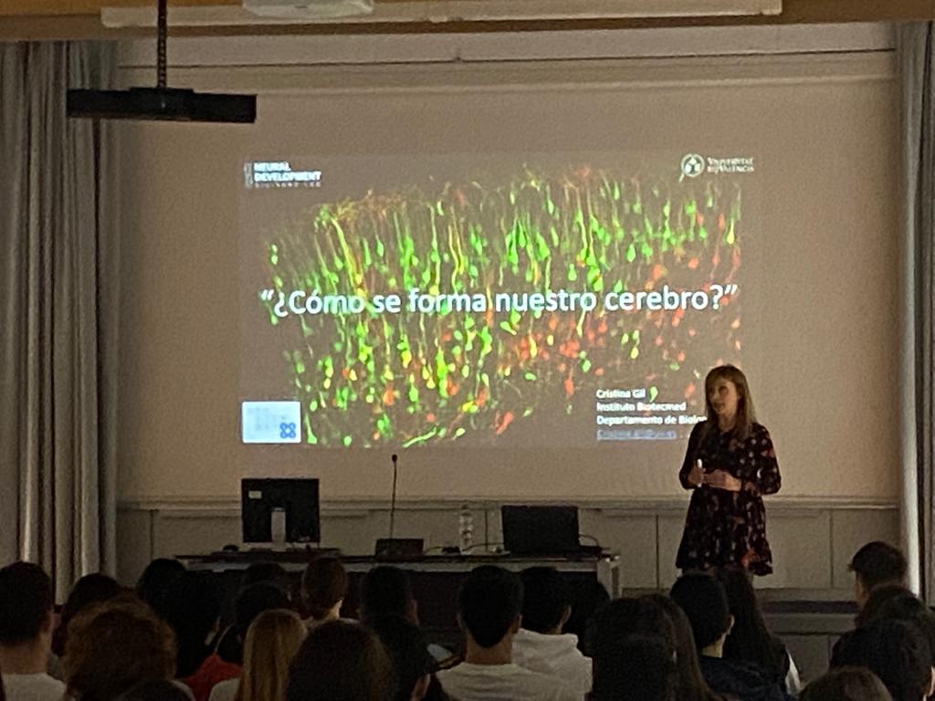 FarinasLab's tweet photo. @CrisGilSanz nos está contando cómo se forma nuestro cerebro @UnistemSpain @Unistem2023 @_BIOTECMED @UV_EG @BiologiquesUV https://t.co/UmDN2hCP3V