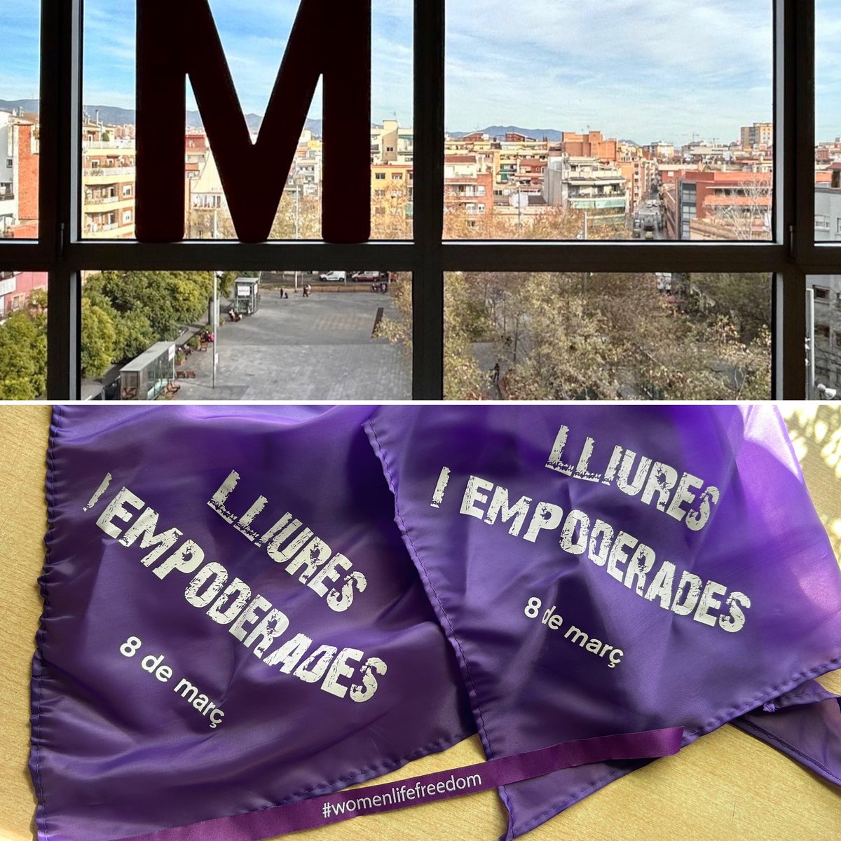 MovEsqSAB's tweet photo. #8m #MESdones https://t.co/iLoAkvDw7V