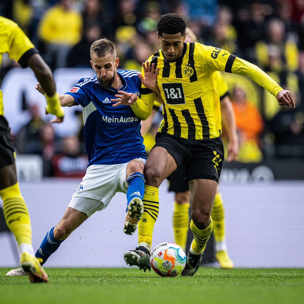 BVB's tweet photo. 💯 Alle im 𝐃𝐄𝐑𝐁𝐘modus! ◼️🟨 https://t.co/qzeVnuGJkO