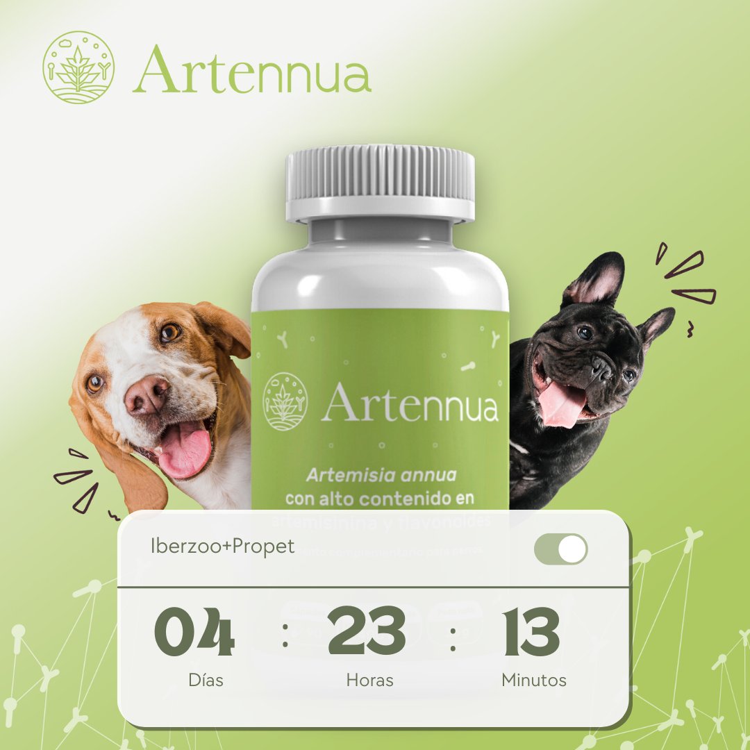 ARTENNUA® tweet media