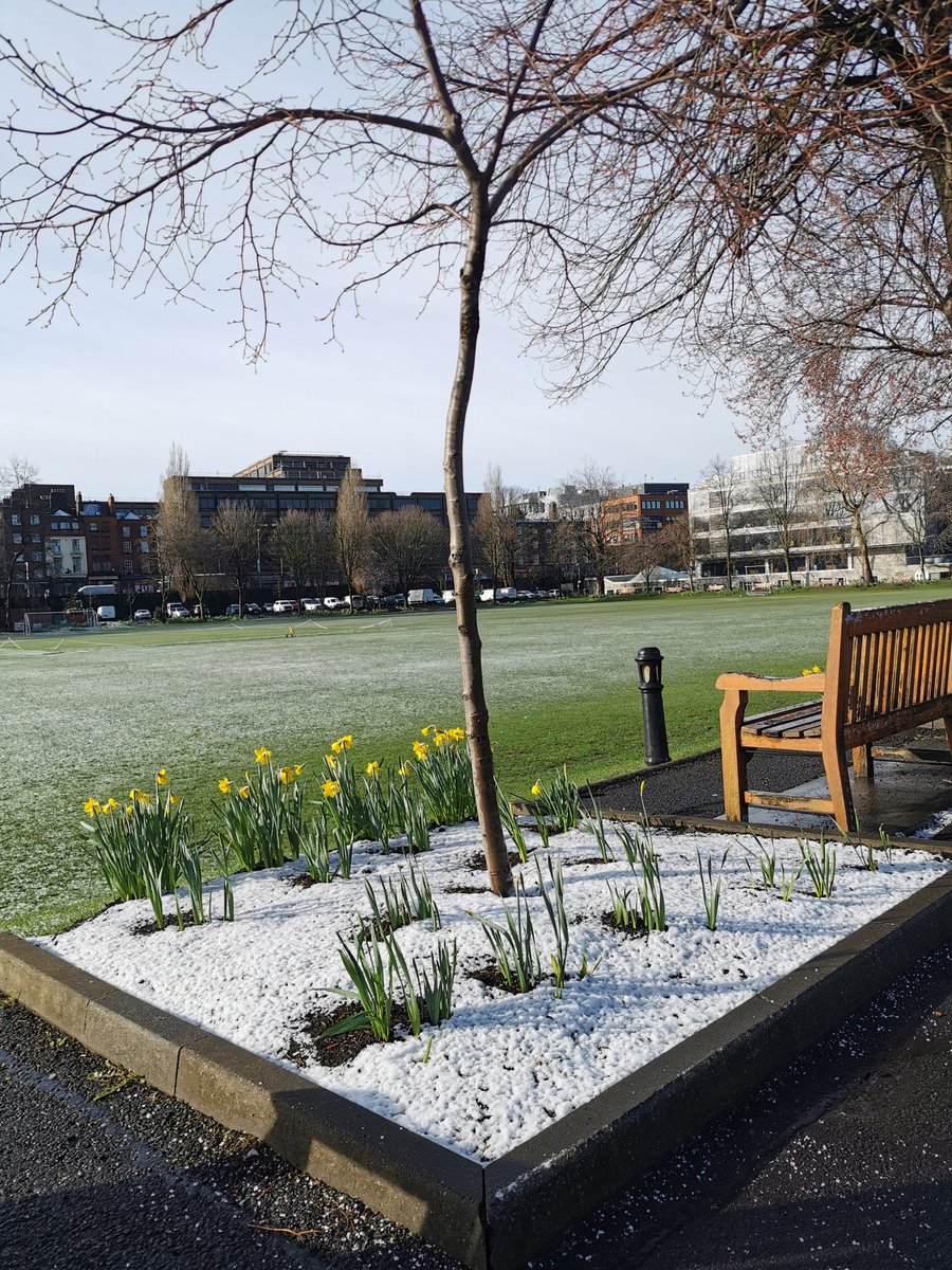 tcdlibrary's tweet image. Definitely fresh, and chilly in the shade, but the glorious sunshine is melting the snow smattering's here on campus. #CampusLife #SpringInIreland #FourSeasonsInOneDay