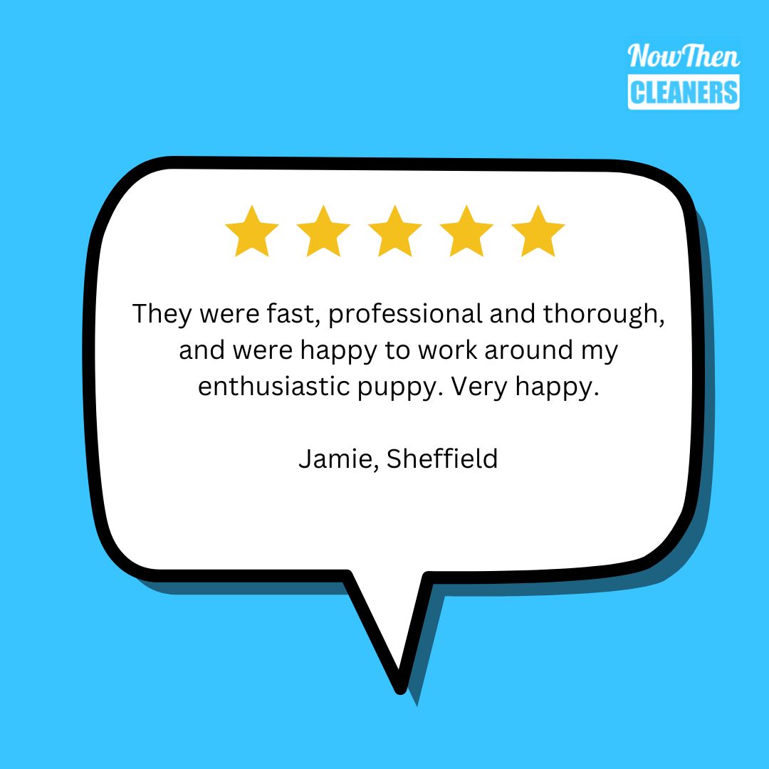 Thank you for your review Jamie!

Visit the website link below for your FREE house cleaning quote!

nowthencleaners.co.uk/house-cleaning

#sheffield #nowthencleaners #cleaningcompany #housecleaning