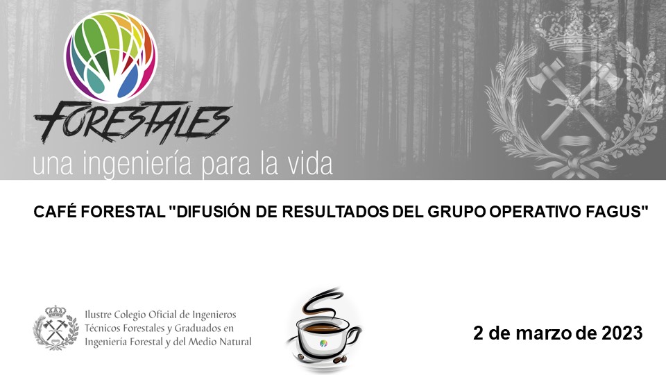 IngForestal50's tweet photo. Disponible el #CaféForestal "Difusión de resultados del grupo operativo FAGUS @go_fagus".
Si quieres saber más sobre cómo revalorizar económicamente los #hayedos ... no lo dudes
👇👇👇
https://t.co/5BtJTOl2kR https://t.co/gQMYlIhrMb