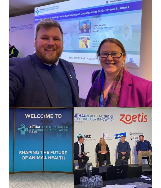 CIELivestock tweet media