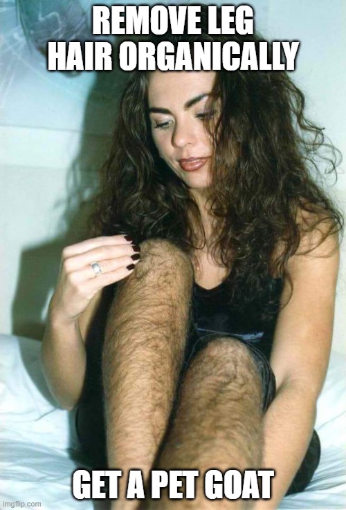 those hair will be grazed in an hour
#lilHigh #funnymemes #darkmemes #hairremoval #leghair #organic #goat #petgoat