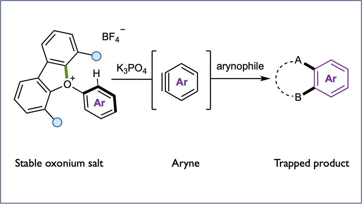 Smith Group (@mdsgroup_oxford) on Twitter photo Interested in new methods for aryne generation? With <a href="/bobbypaton/">Robert Paton</a> & the Burton group, in <a href="/ChemRxiv/">ChemRxiv</a> we describe a super-mild method to make and trap arynes - including pyrimidynes - by the base-mediated elimination of oxonium salts: bit.ly/3LexJUG Interested in new methods for aryne generation? With <a href="/bobbypaton/">Robert Paton</a> & the Burton group, in <a href="/ChemRxiv/">ChemRxiv</a> we describe a super-mild method to make and trap arynes - including pyrimidynes - by the base-mediated elimination of oxonium salts: bit.ly/3LexJUG