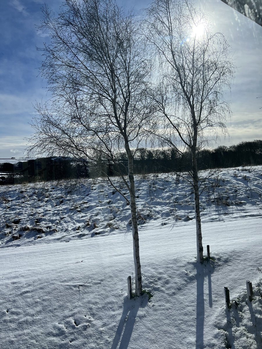 The view from the day room on the ward ⁦<a href="/UhmbtV/">UHMBTAbbeyView</a>⁩ 🥰🥰🥰