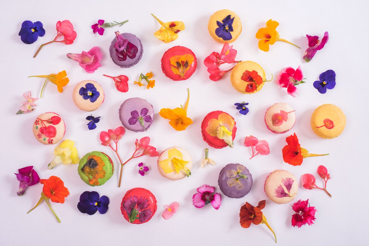 So pretty! Treat your mum to being a #socialchangehero supporting young people with complex needs into work #missmacaroon #BakingABrighterFuture

missmacaroon.co.uk/buy-macaroons/…