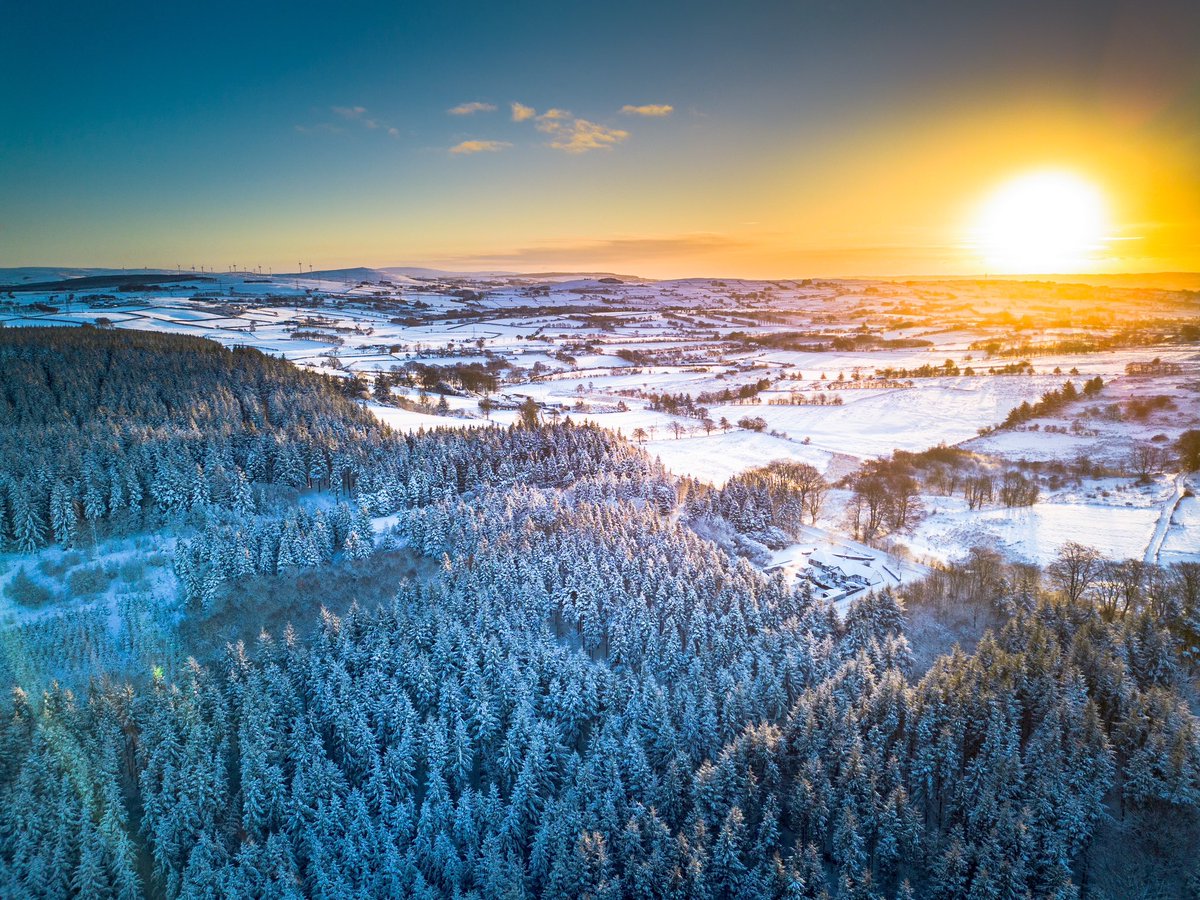 Stephen J Reid tweet media