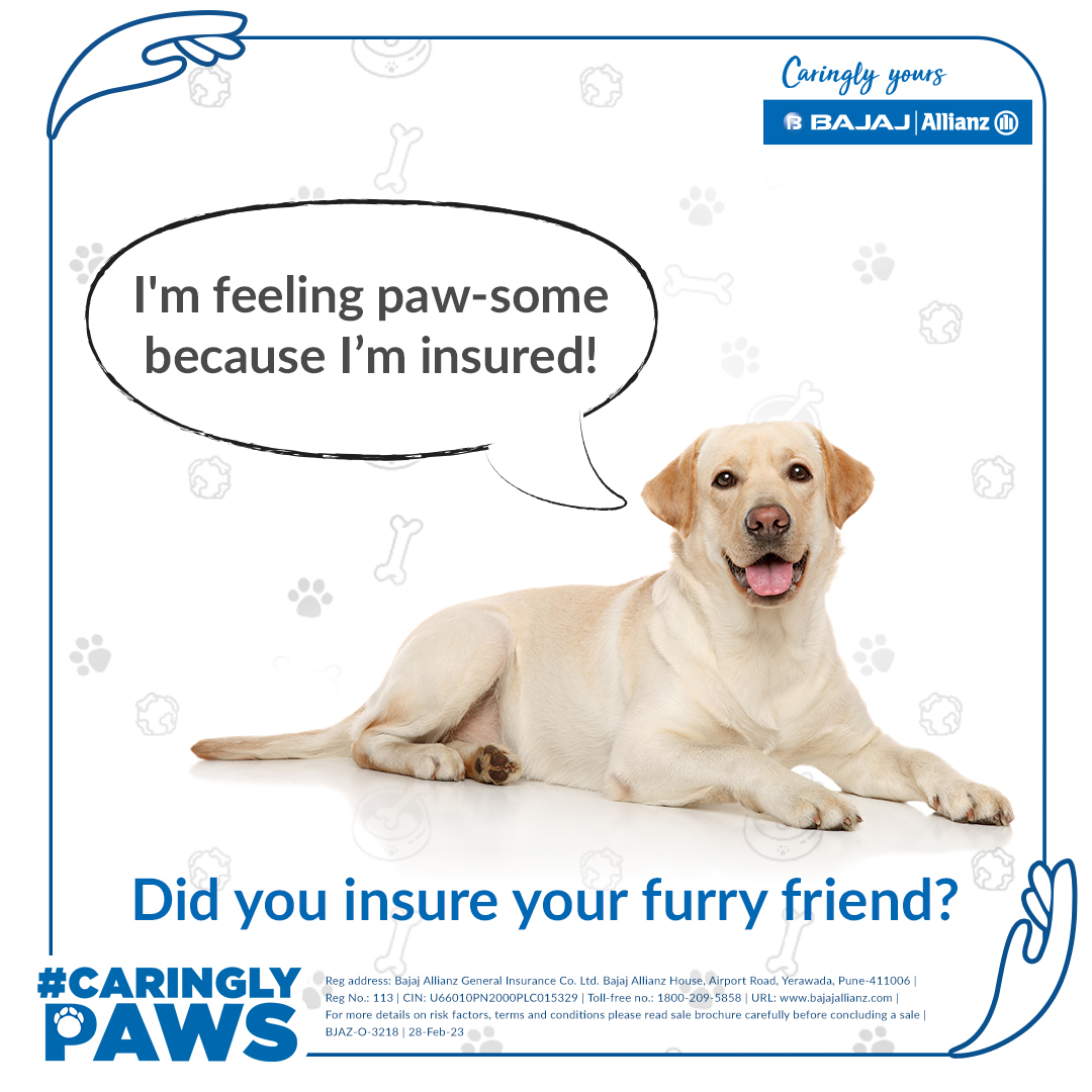 bajajgeneral's tweet photo. Have you insured your furry friend yet? If not, visit the link below to have them paw-tected from uncertainties.

Know more: https://t.co/UJbbVblBPy

#CaringlyYours #YouAreSpecial #PetDog #PetDogInsurance #Pet #BeInsured https://t.co/f4qNQtGJmU