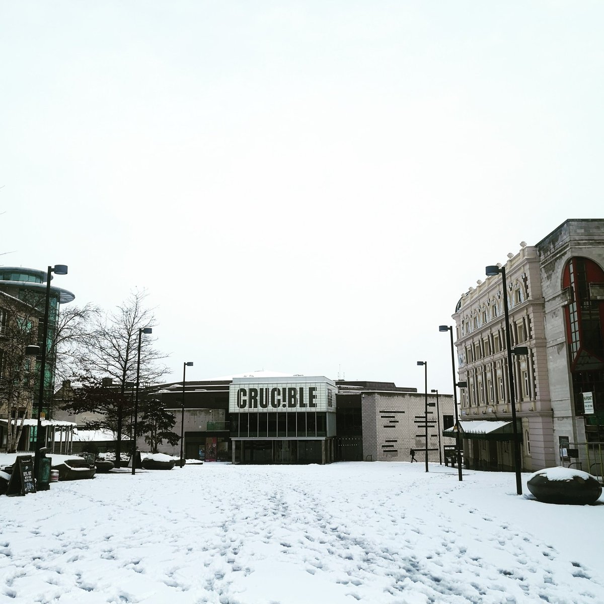 Nina Segal tweet media