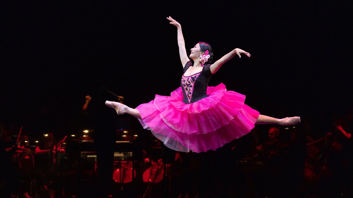 『#ヌレエフ：伝説と遺産』上映について📣

この度、『ヌレエフ：伝説と遺産』の
【愛知】#名古屋シネマテーク での上映が決定いたしました🎊

この機会に、是非お見逃しなく‼💃🕺

4月8日(土)より一週間限定上映🎬
#バレエ