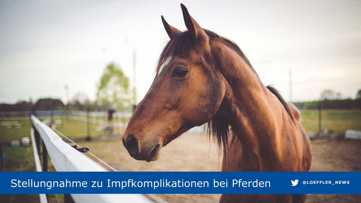 Friedrich-Loeffler-Institut tweet media