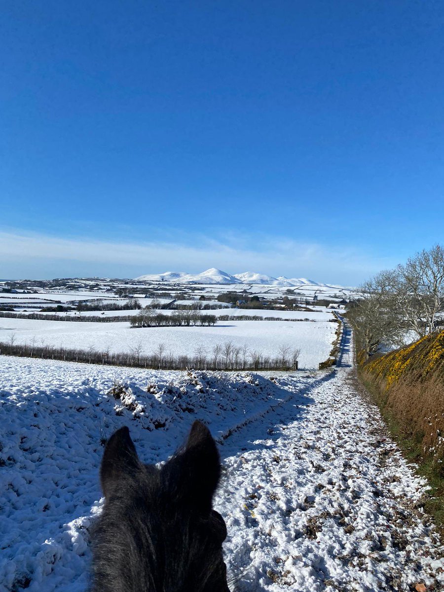 Fresh morning at the top of the Kearney Hill with the Mournes in the background. Credit must go to our hard working staff on mornings like this. A few school closures is also a help!! <a href="/irishp2p/">p2p.ie</a> <a href="/irishracing/">irishracing.com</a>