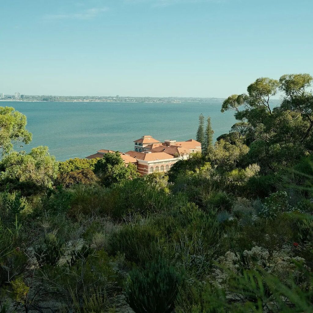proofofjrgibson's tweet photo. king's view.
\ \
/ /
photo made with #fujix100v in #perth using #fujiweekly
#portra400 sim.
\ \
/ /
#kingspark #perthisok #perthlife #westernaustralia #justanotherdayinwa #fujifilm #fujifeed #fujixnet #fujixaus #sooc #proofofjrgibson https://t.co/P0Kv0oTZed https://t.co/nVFw8yCY7F
