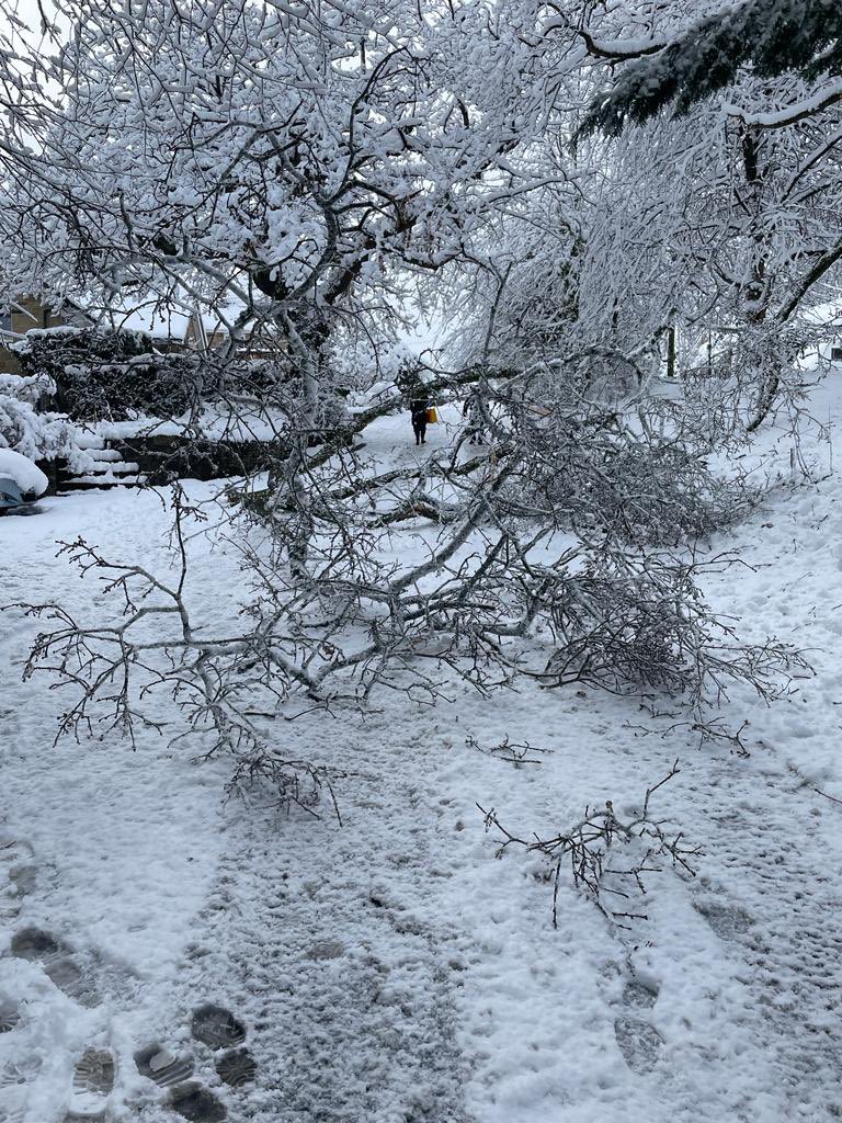 BPM Tech tweet media