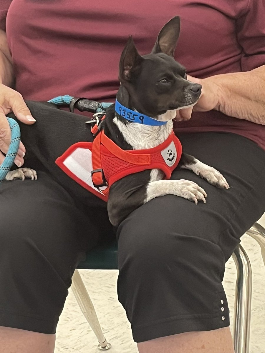 Heather Moncrief tweet media