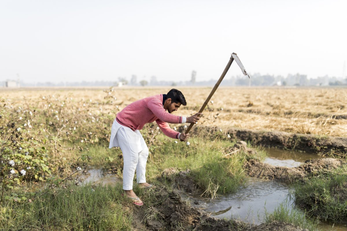 Harsha Vadlamani tweet media