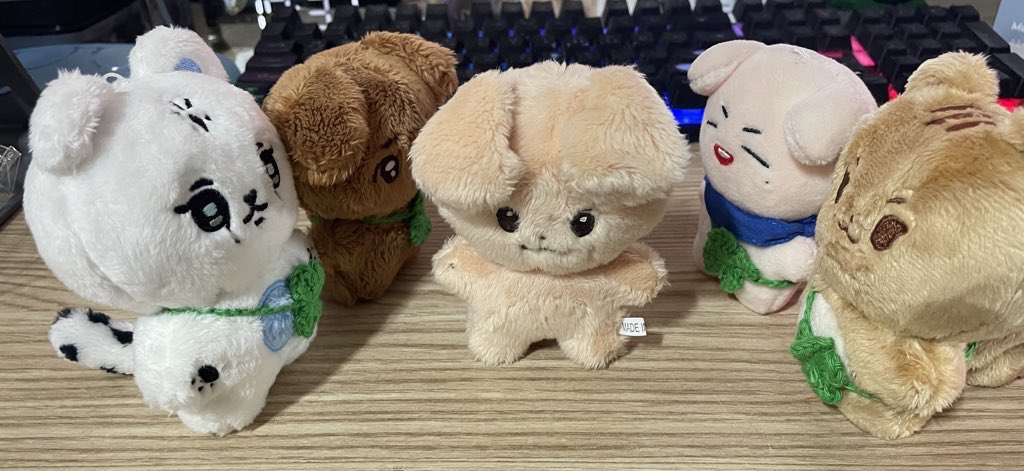 #오늘의_긍랑잉 
설동이가 먼저 올 줄 알고 친구들이 기다렸는데 긍랑이가 먼저 왔다! 친구들이 처음 보는 친구 신기하다고 나와서 인사해줬다