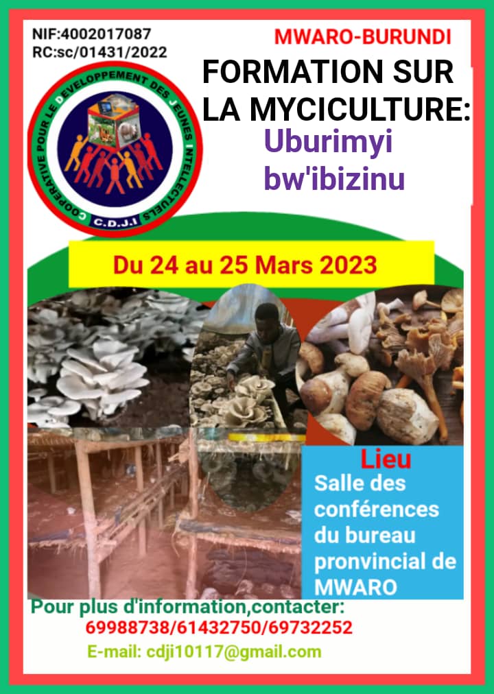 IngoMagazine's tweet photo. Du 24 au 25 Mars 2023, la coopérative pour le Développement des Jeunes Intellectuels(#CDJI), organise, via son centre d'incubation des projets, une formation en myciculture est prévue en @MwaroProvince.
#Burundi
#ingomag https://t.co/IJMecPC5vD