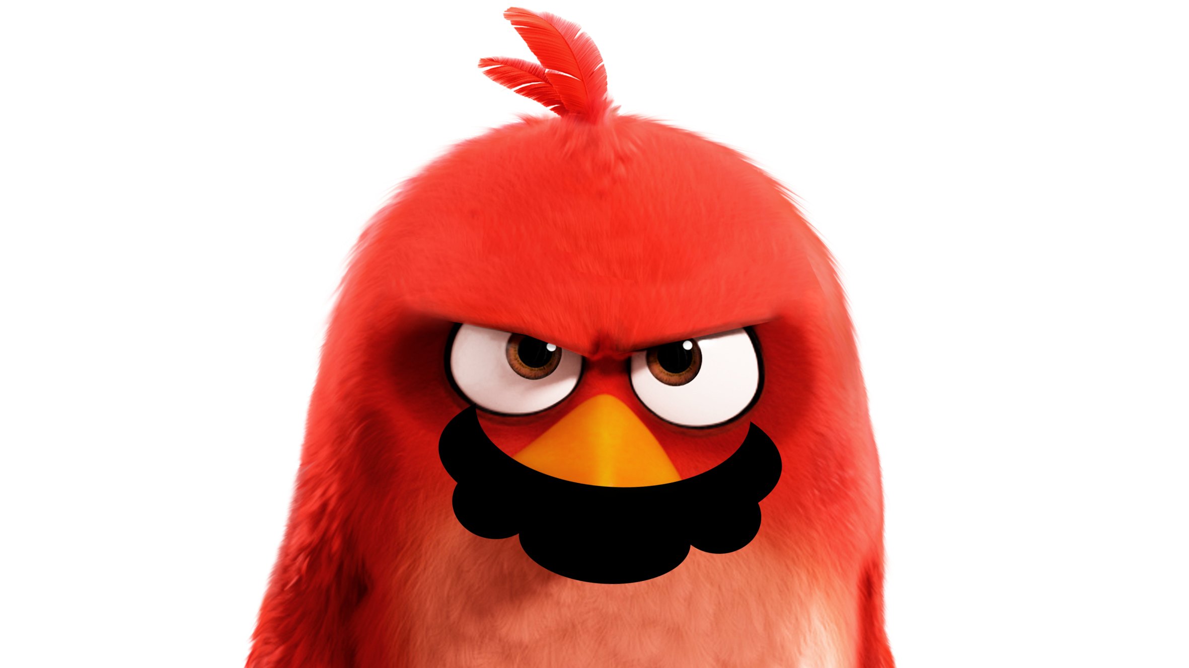 Angry Birds Facts • on Twitter: "@supermariomovie @AngryBirds We love